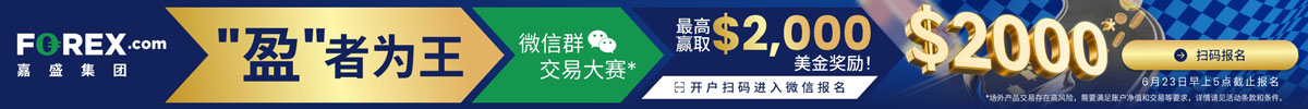 嘉盛集团