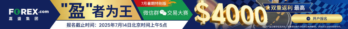 嘉盛集团